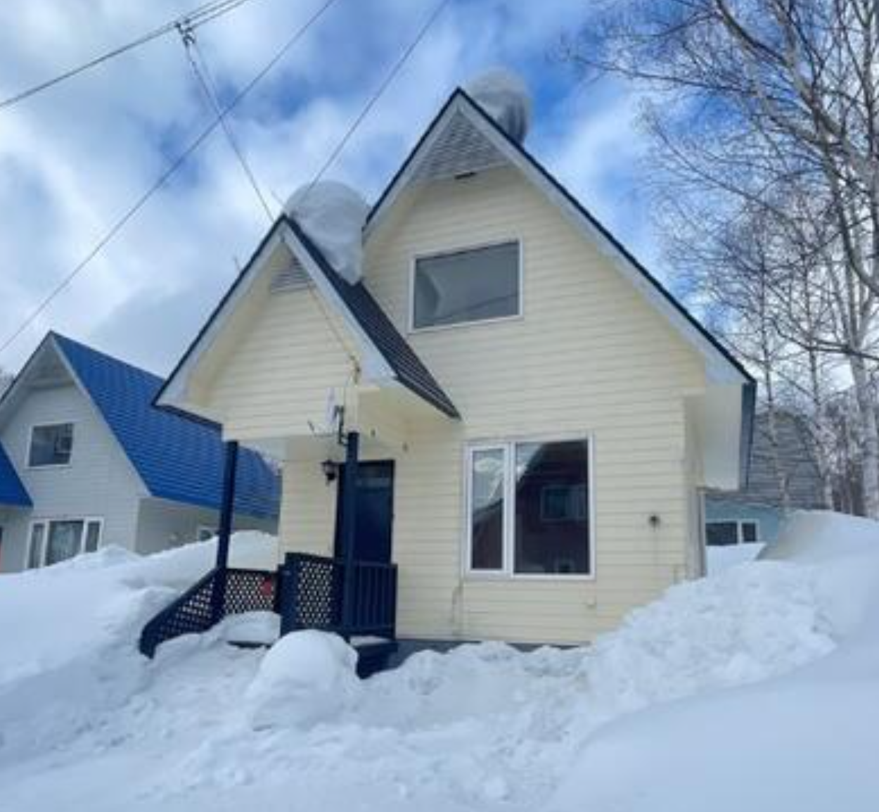 Forest Avenue House, Niseko — Niseko, Japan — photo 1