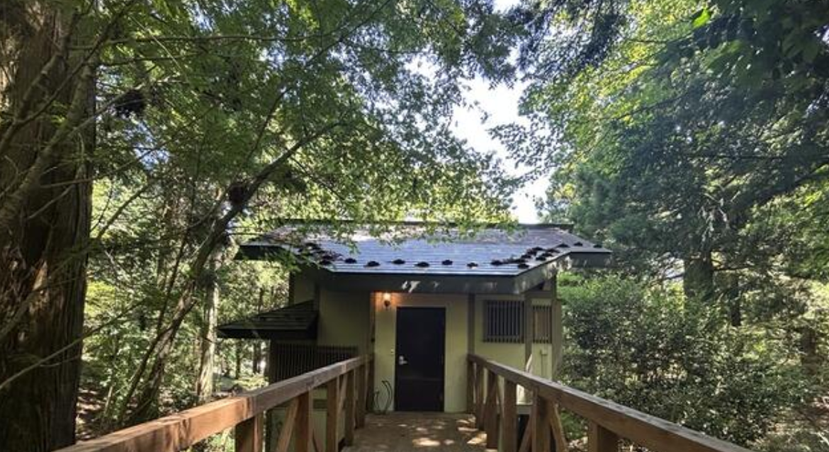 Sauna House, Amagi Kōgen — photo 5