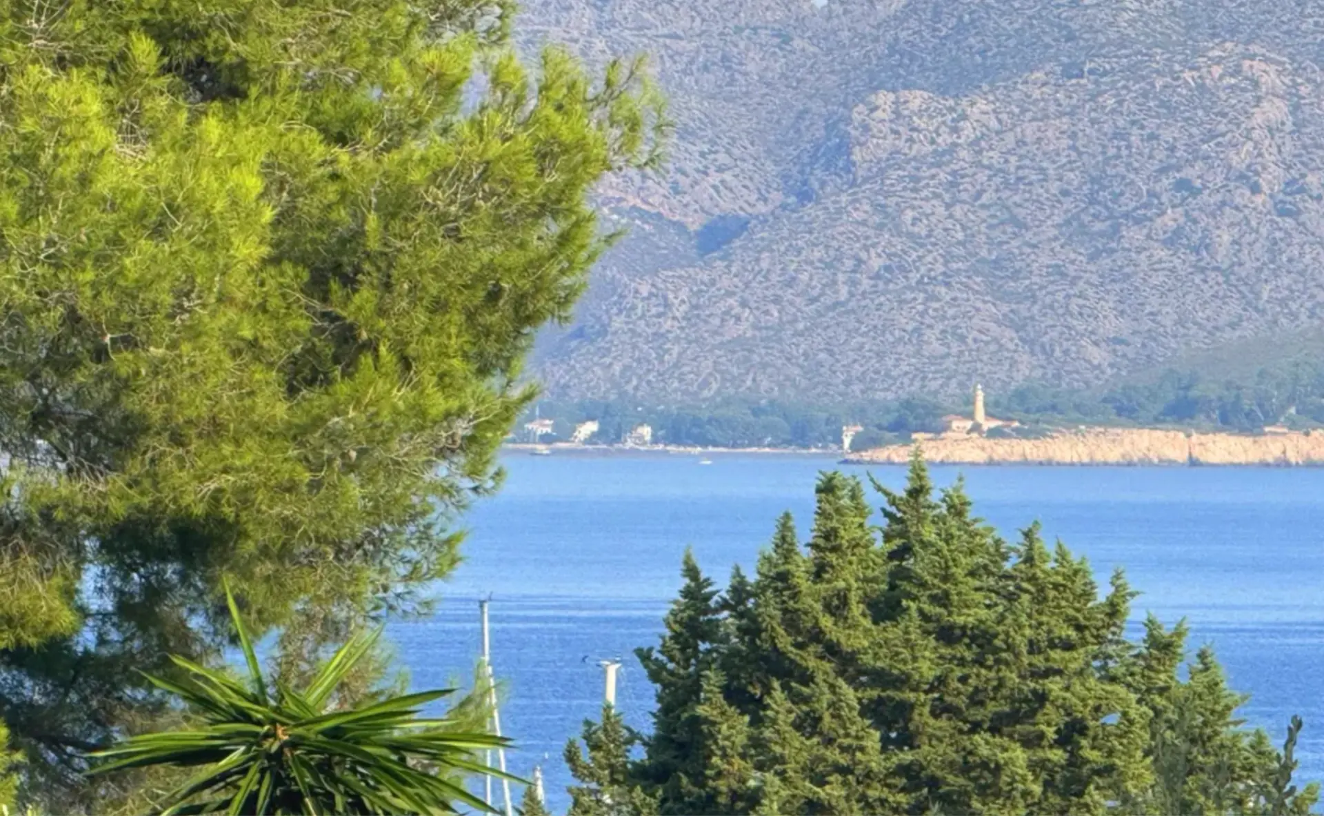 Stone and Forest, Bonaire — Mallorca, Spain — photo 15