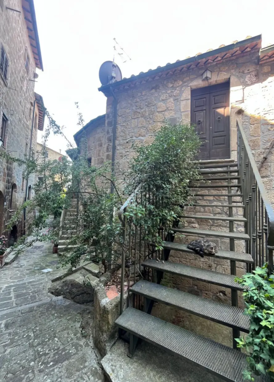 Tufa Cellar Apartment, Sorano, context detail