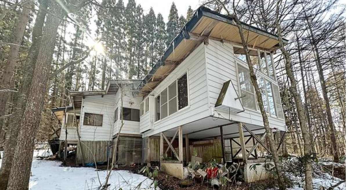 House in the Trees, Iizuna — photo 4