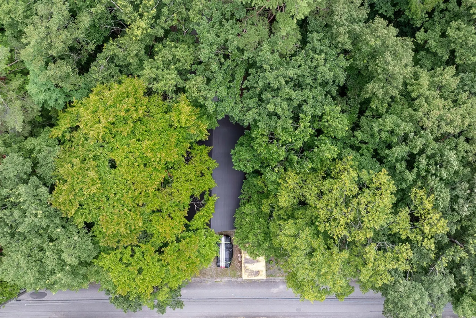 Forest Deck House, Misorano — photo 9