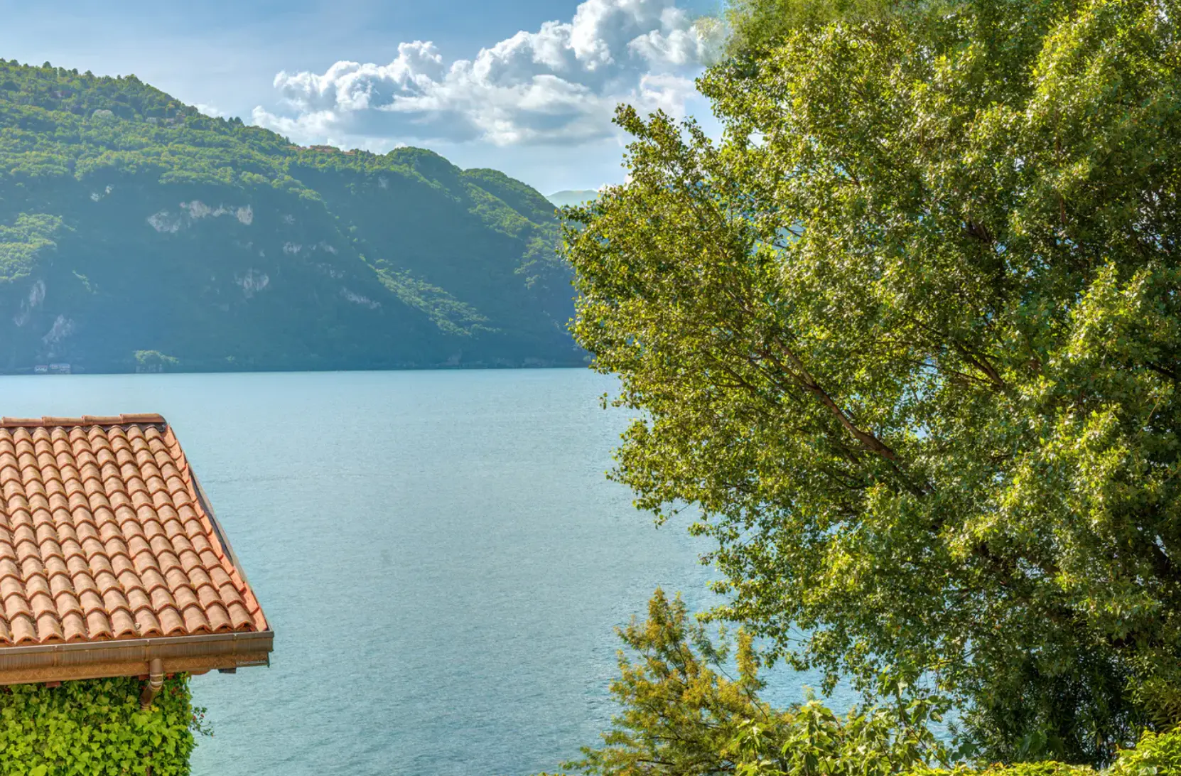 Sage Green Lake Apartment, Lake Como, context detail